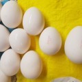 Отзыв о ТМ «Каждый день»: Яйца не соответствуют категории