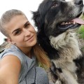 Отзыв о Школа дрессировки собак Akita Dog School: Дрессировка собак в Казани