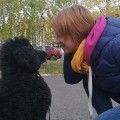 Отзыв о Школа дрессировки собак Akita Dog School: Благодарность от Ольги и Чипа