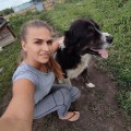Дрессировка собак в Казани