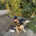 Отзыв о Школа дрессировки собак Akita Dog School: Привет от Семьи Громовых, наш ответ!