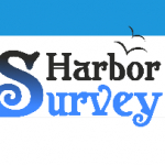 SurveyHarbor Consultant