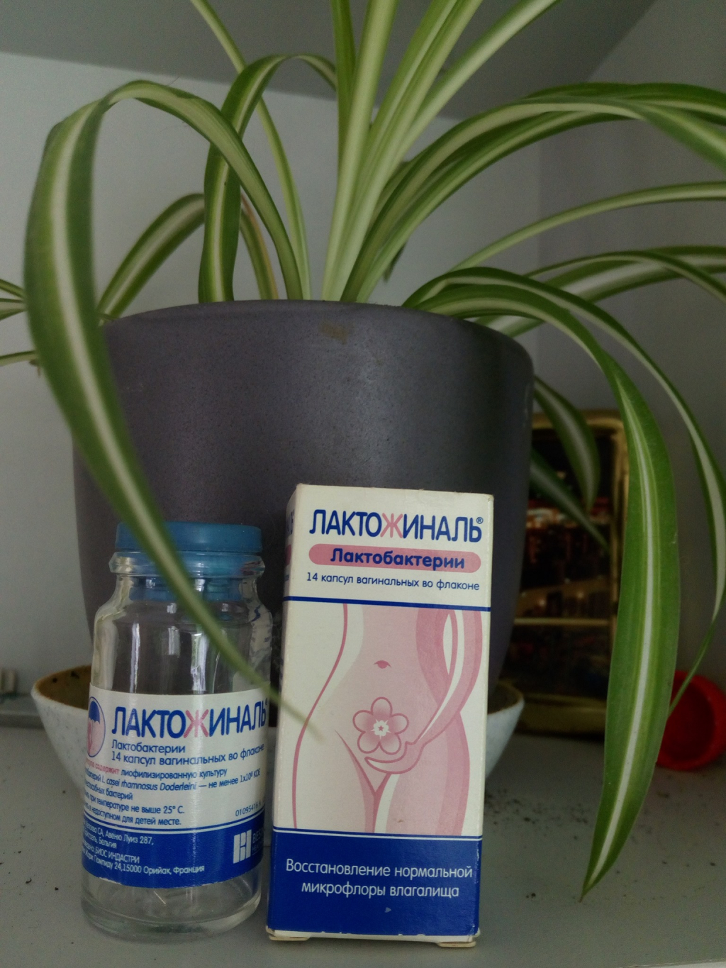Лактожиналь - Современный пробиотик на смену свечам