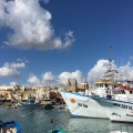 История о том, как я влюбилась в Мальту!
